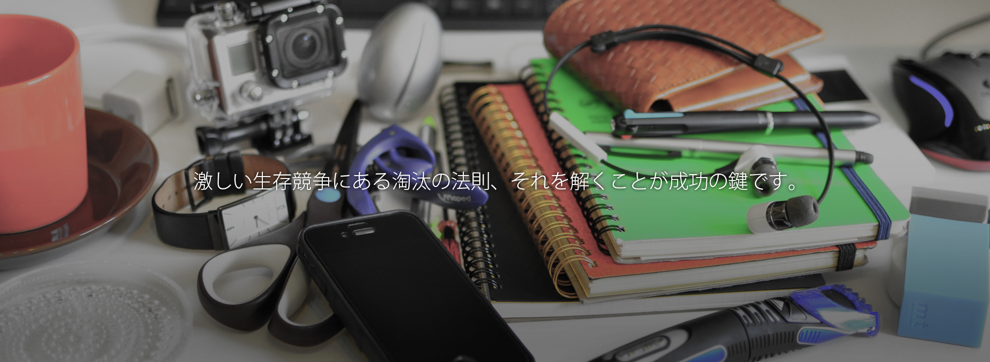 激しい生存競争にある淘汰の法則、それを解くことが成功の鍵です。